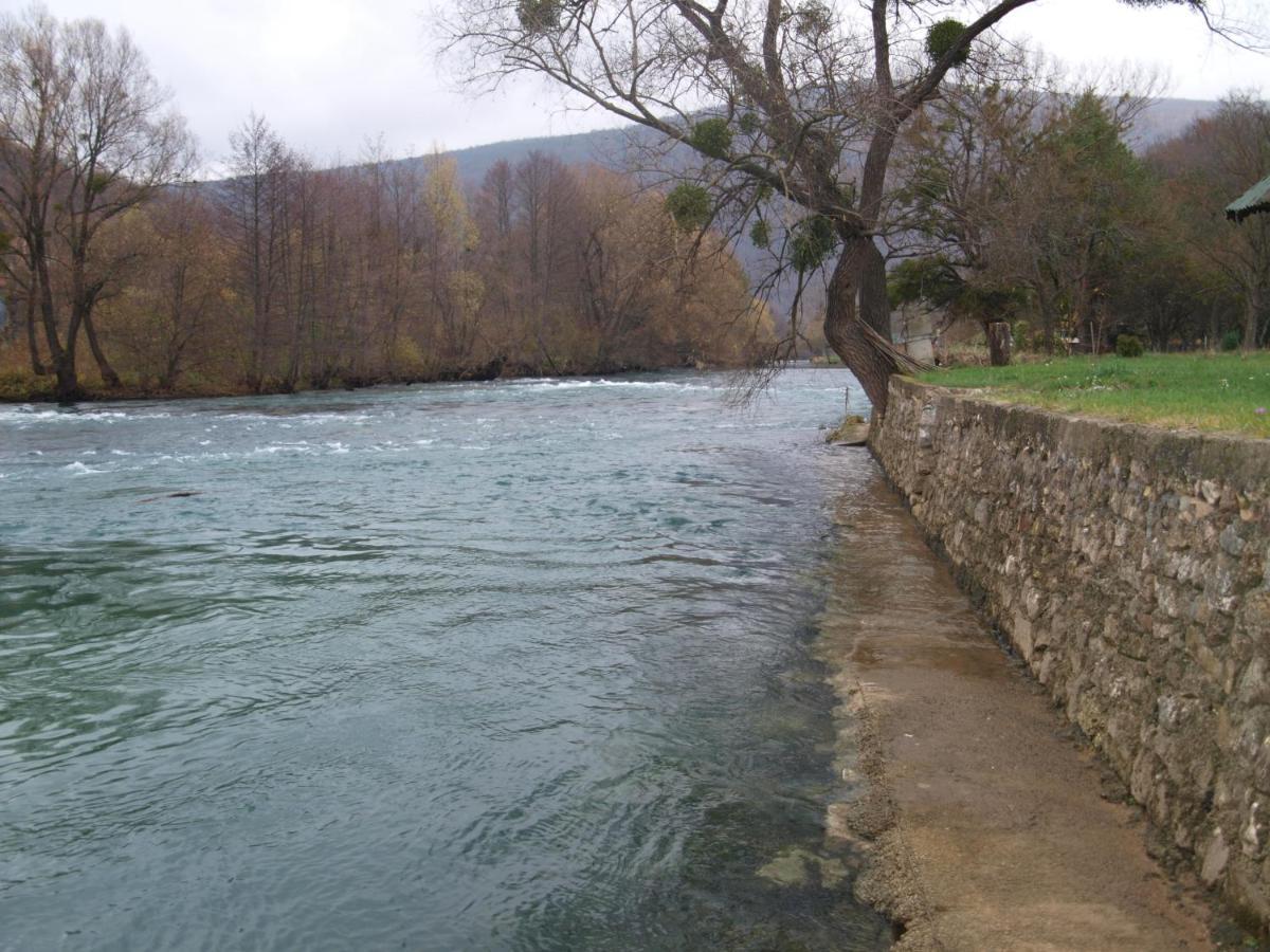 Alfa Daire Kulen Vakuf Dış mekan fotoğraf