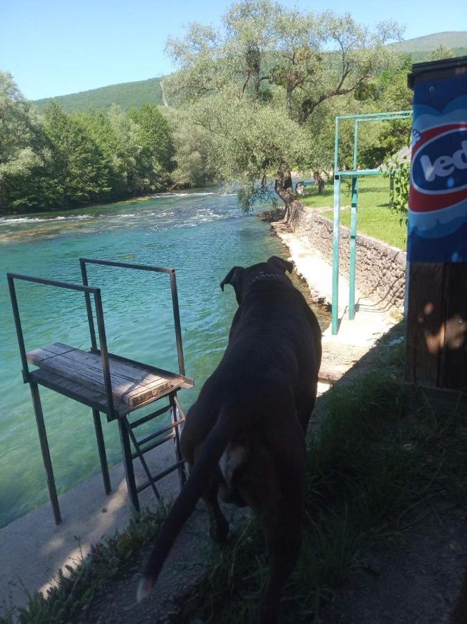 Alfa Daire Kulen Vakuf Dış mekan fotoğraf